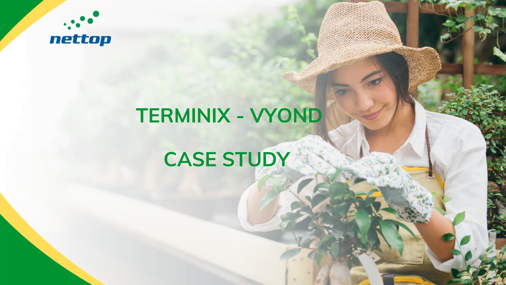 Case study về Terminix ứng dụng Vyond